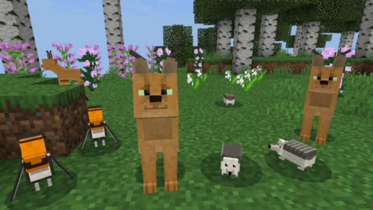 Birds and Others from Wild Animals Mod for Minecraft PE