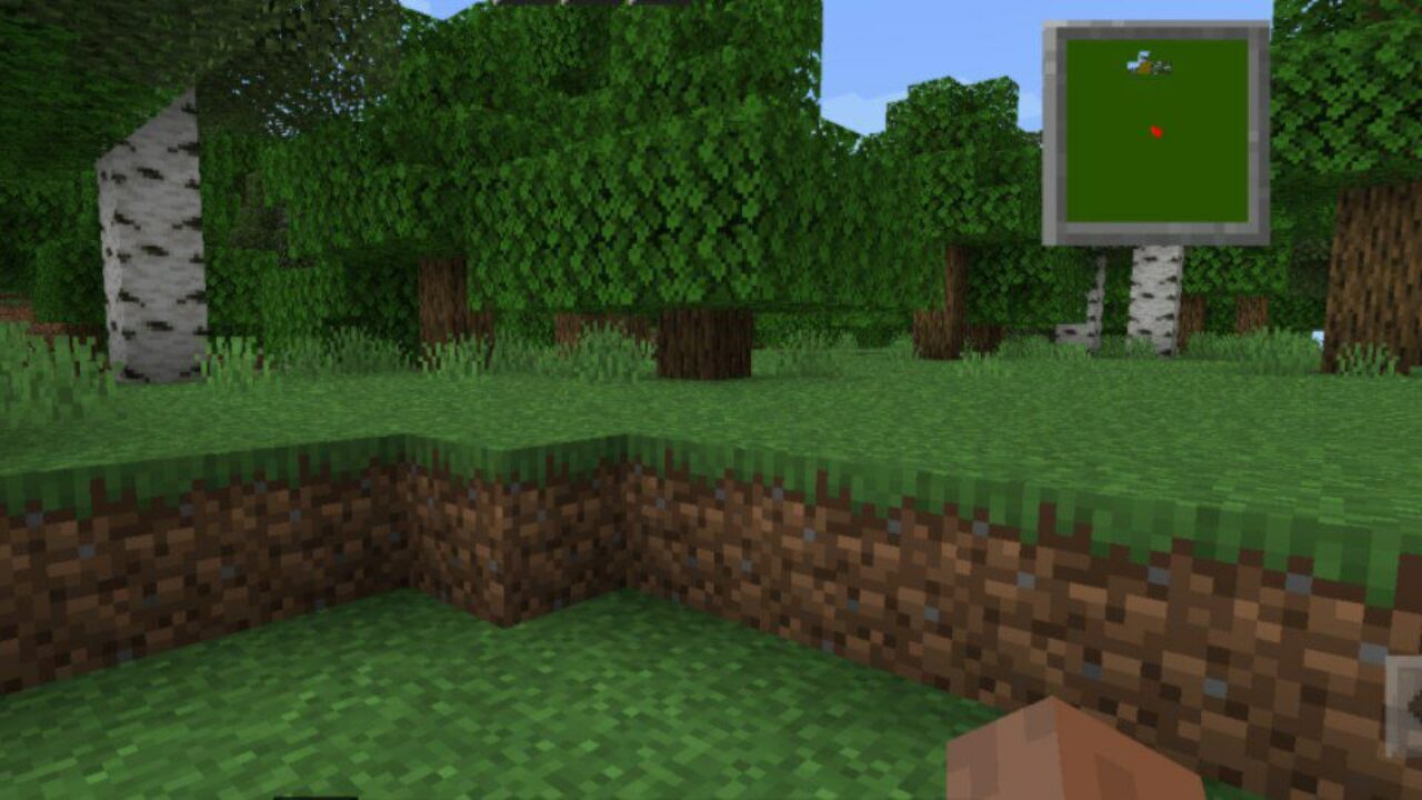 Forest from Minimap Mod for Minecraft PE