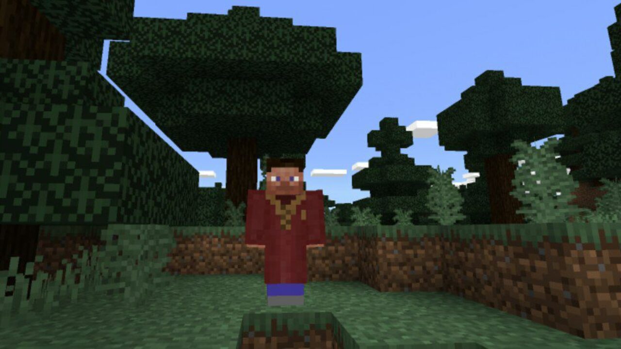 Gryffindor Quidditch from Harry Potter Mod for Minecraft PE