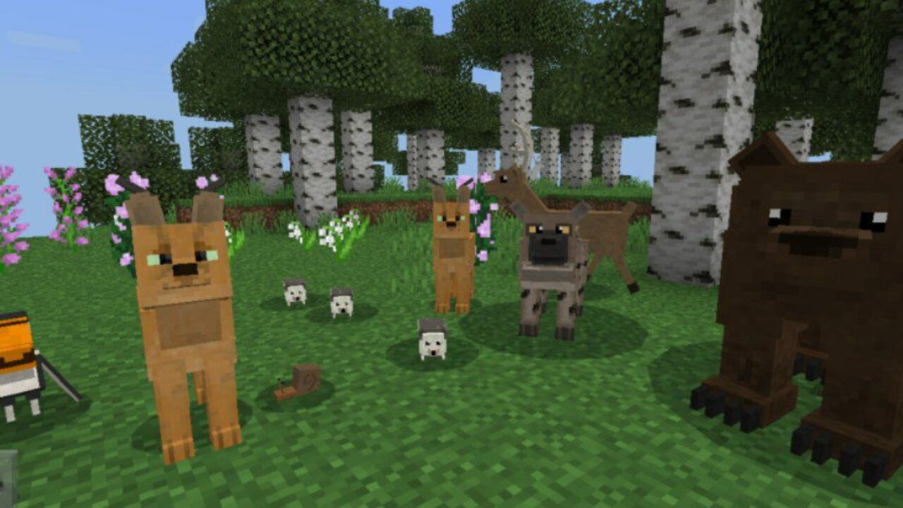 More Variants from Wild Animals Mod for Minecraft PE