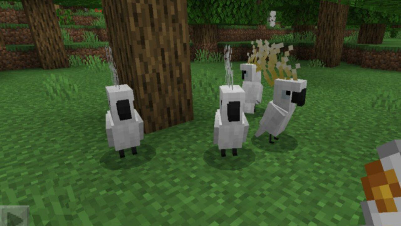 Parrots from Domestic Pets for Minecraft PE