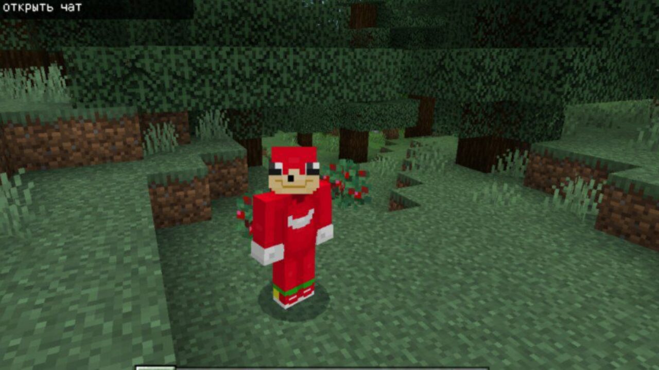 Skins Mod for Minecraft PE