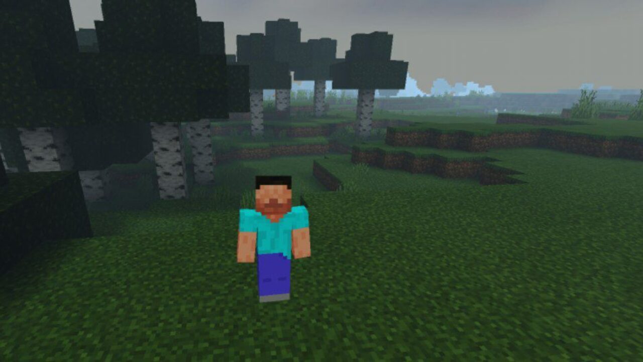 Steve and Fog from Fog Mod for Minecraft PE