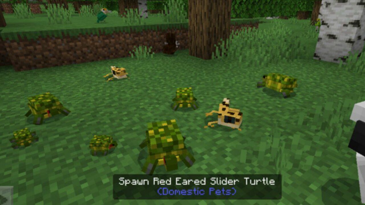 Turtles from Domestic Pets for Minecraft PE