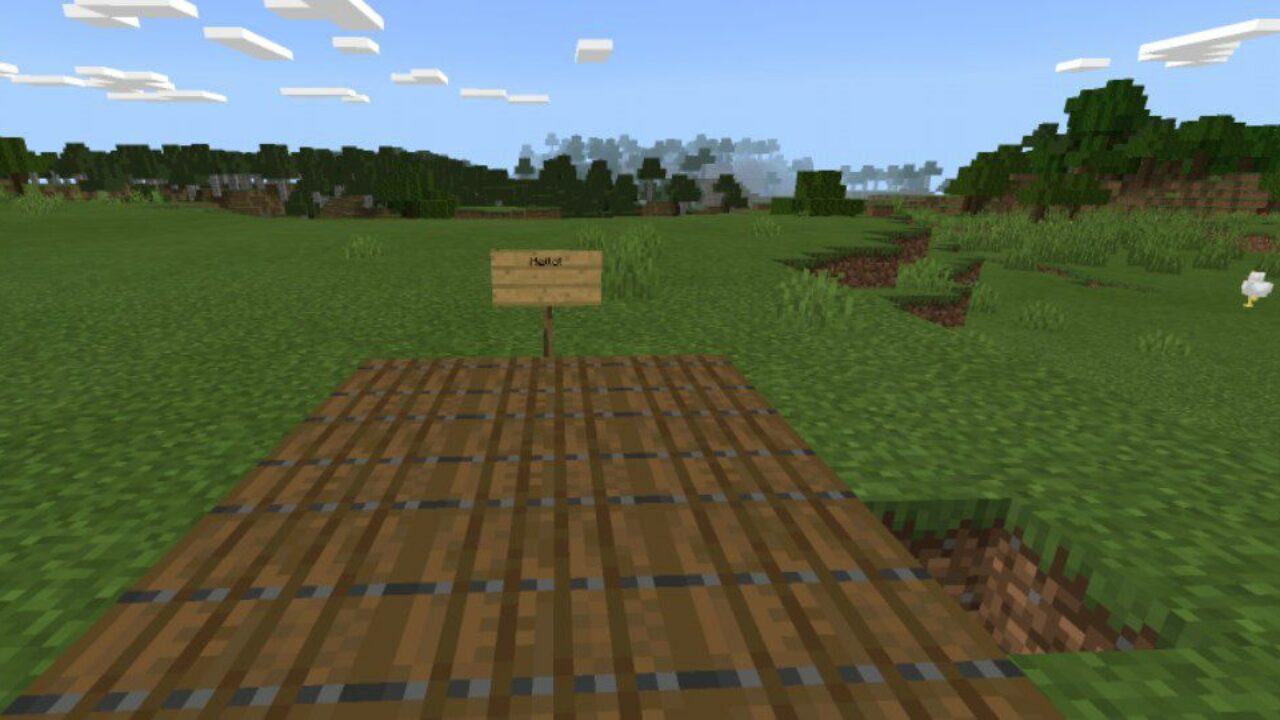 With Zoom from Zoom Mod for Minecraft PE