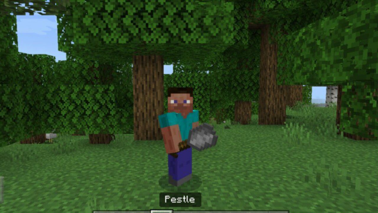 Pestle from Education Edition Mod for Minecraft PE