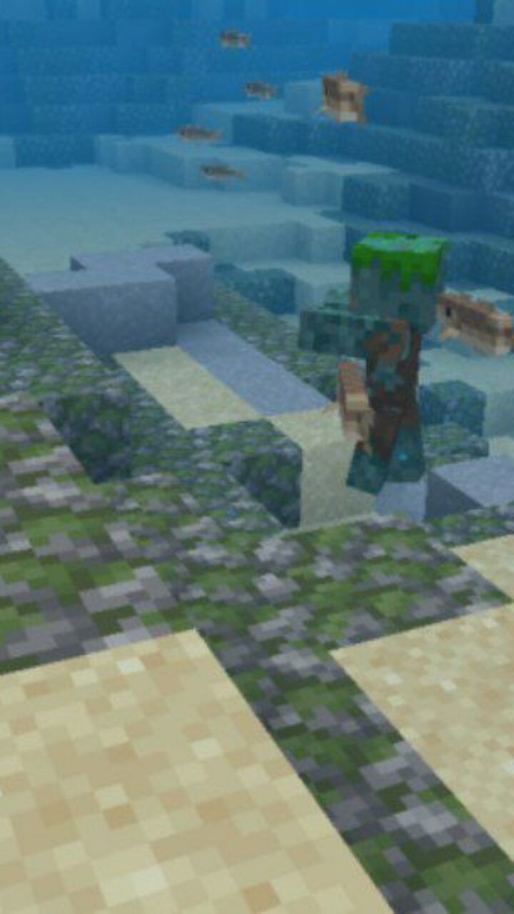 Underwater from 100 Day Adventure Map for Minecraft PE