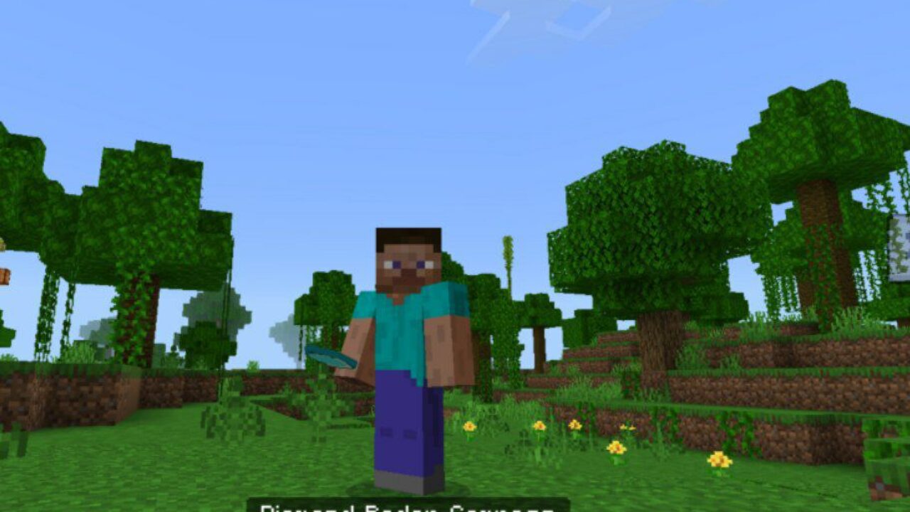 Diamond from Radar Mod for Minecraft PE