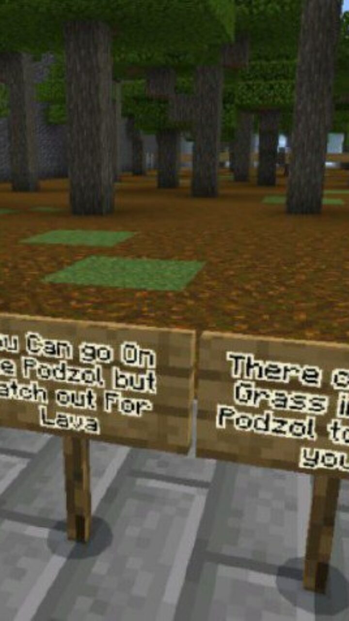 Information from Danger Grass Map for Minecraft PE