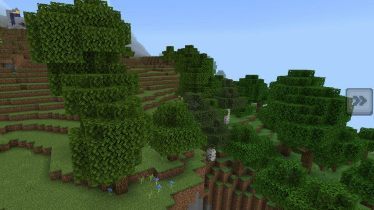 Nature from Textures for Minecraft 1.20