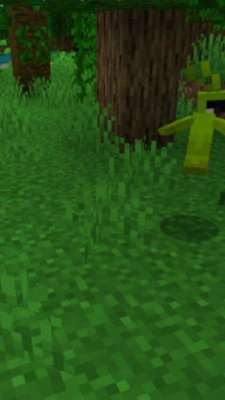 Parrot from Jungle Map for Minecraft PE