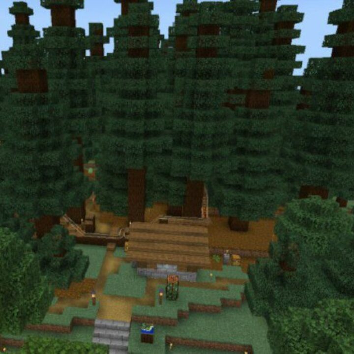 Taiga Map for Minecraft PE