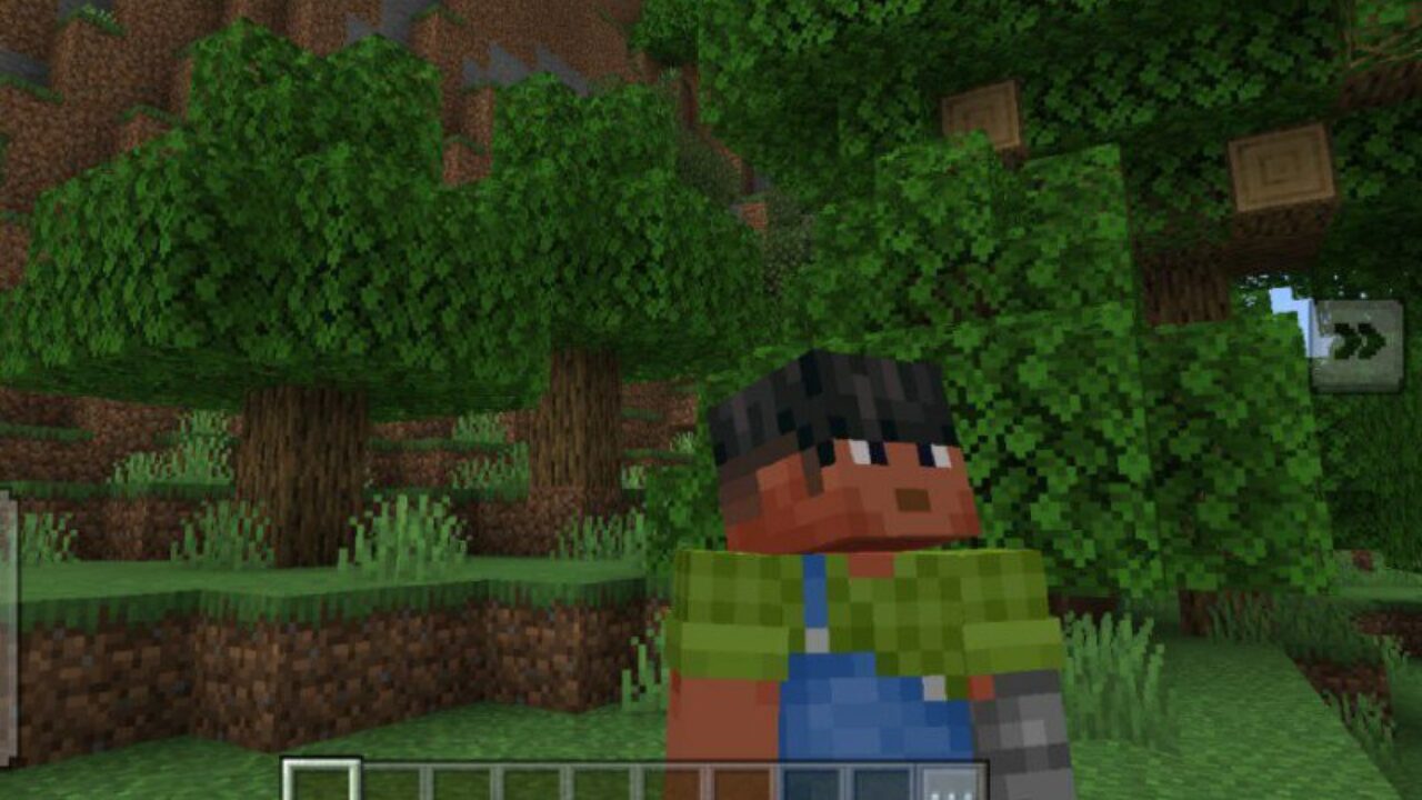 Third Person Camera Mod for Minecraft PE