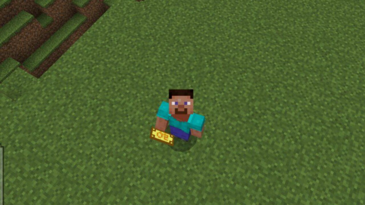 20 Dollars from Coins Mod for Minecraft PE