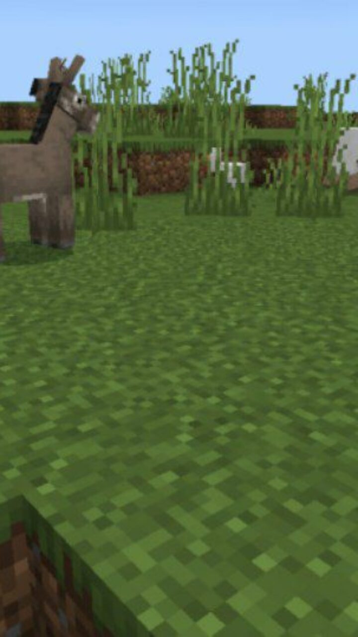 Animals from Castle Defense Map for Minecraft PE