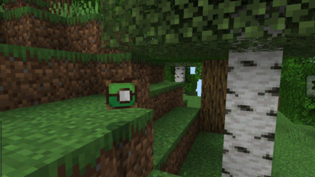 Cinematografic from Play Mod for Minecraft PE