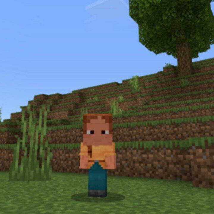 Baby Texture Pack for Minecraft PE