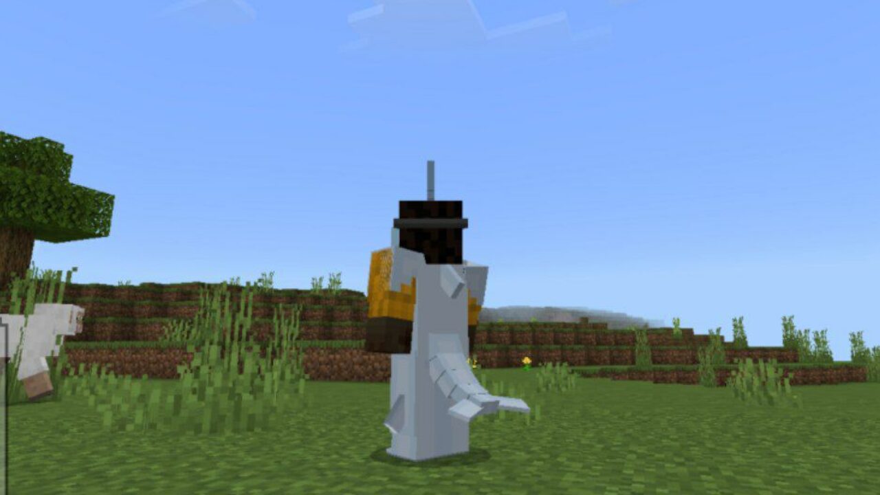 Back Side from Costume Mod for Minecraft PE