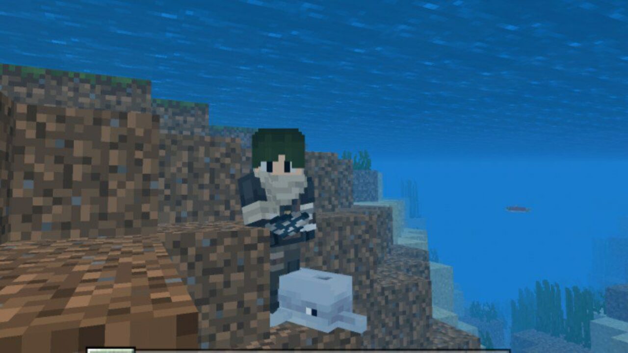 Dolphin from Diving Mod for Minecraft PE