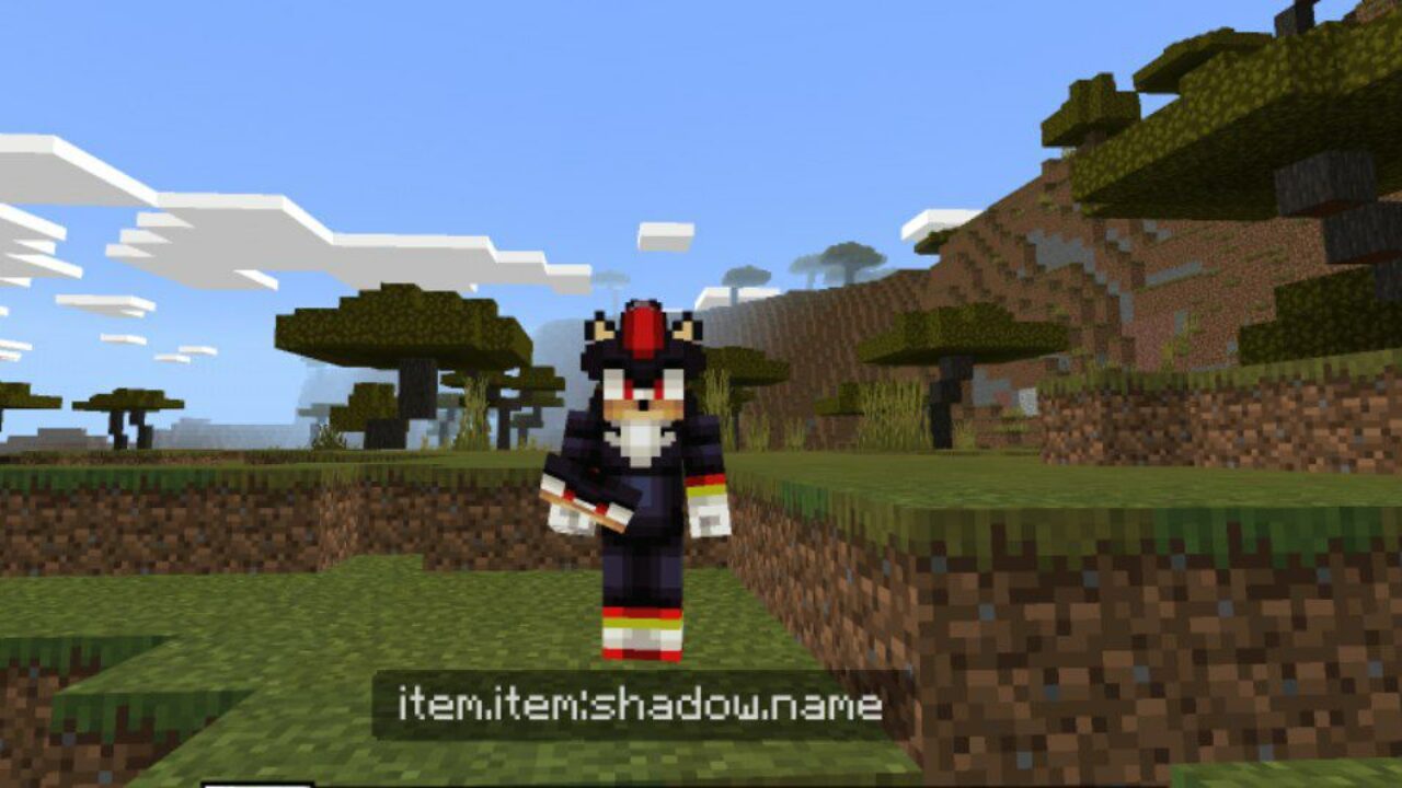 4D Skins Mod for Minecraft PE