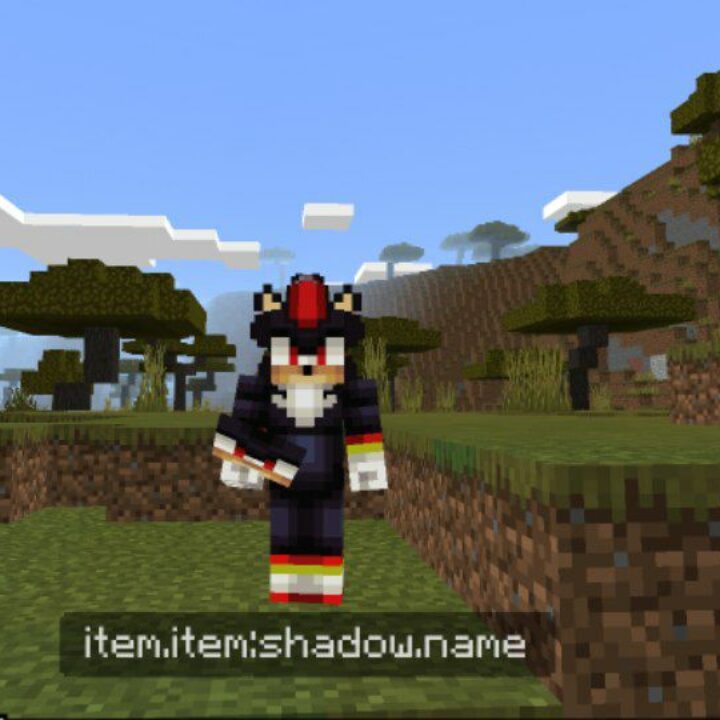 4D Skins Mod for Minecraft PE