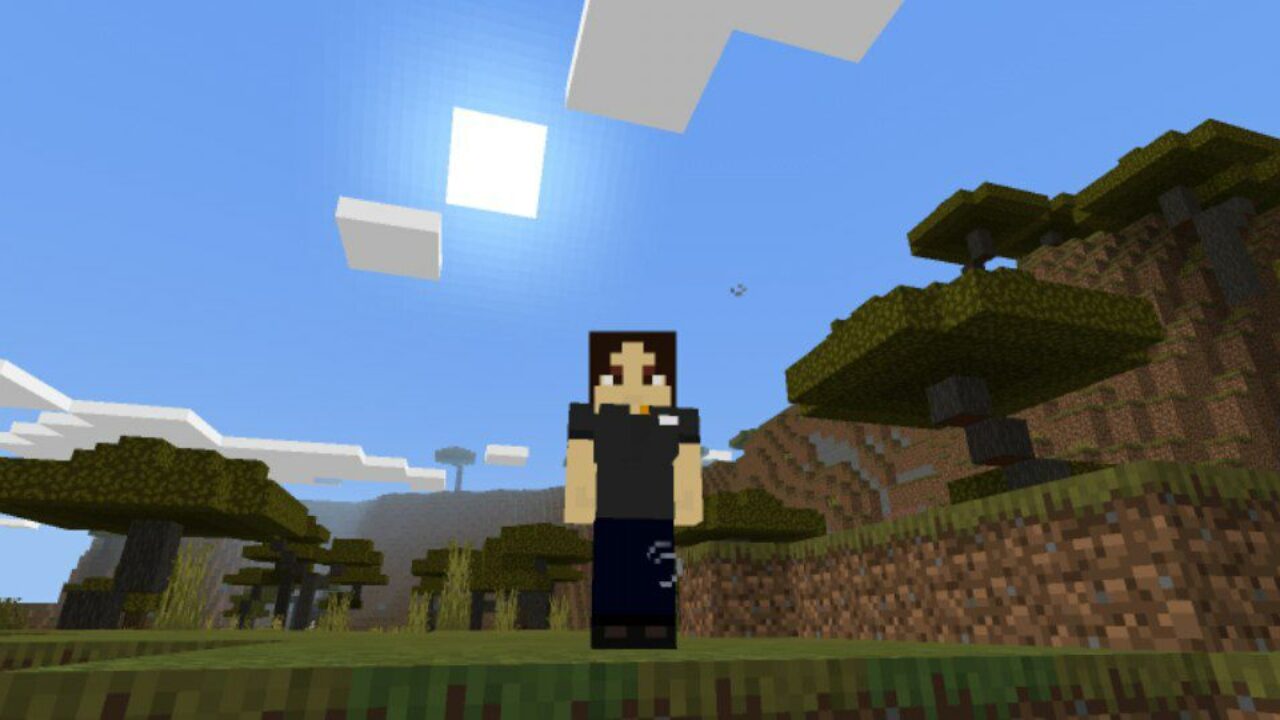 Girl from 4D Skins Mod for Minecraft PE