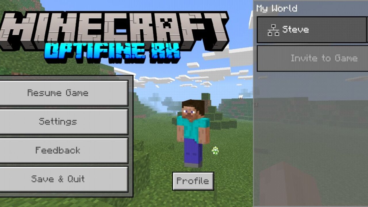 Interface from Optifine Texture Pack for Minecraft PE