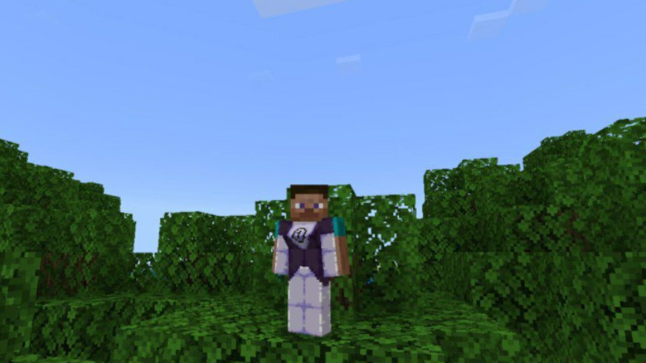 Invincible Mod for Minecraft PE