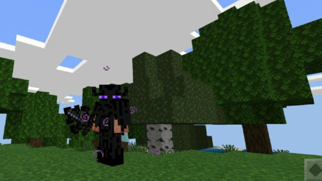 Sword from Enderman Mod for Minecraft PE