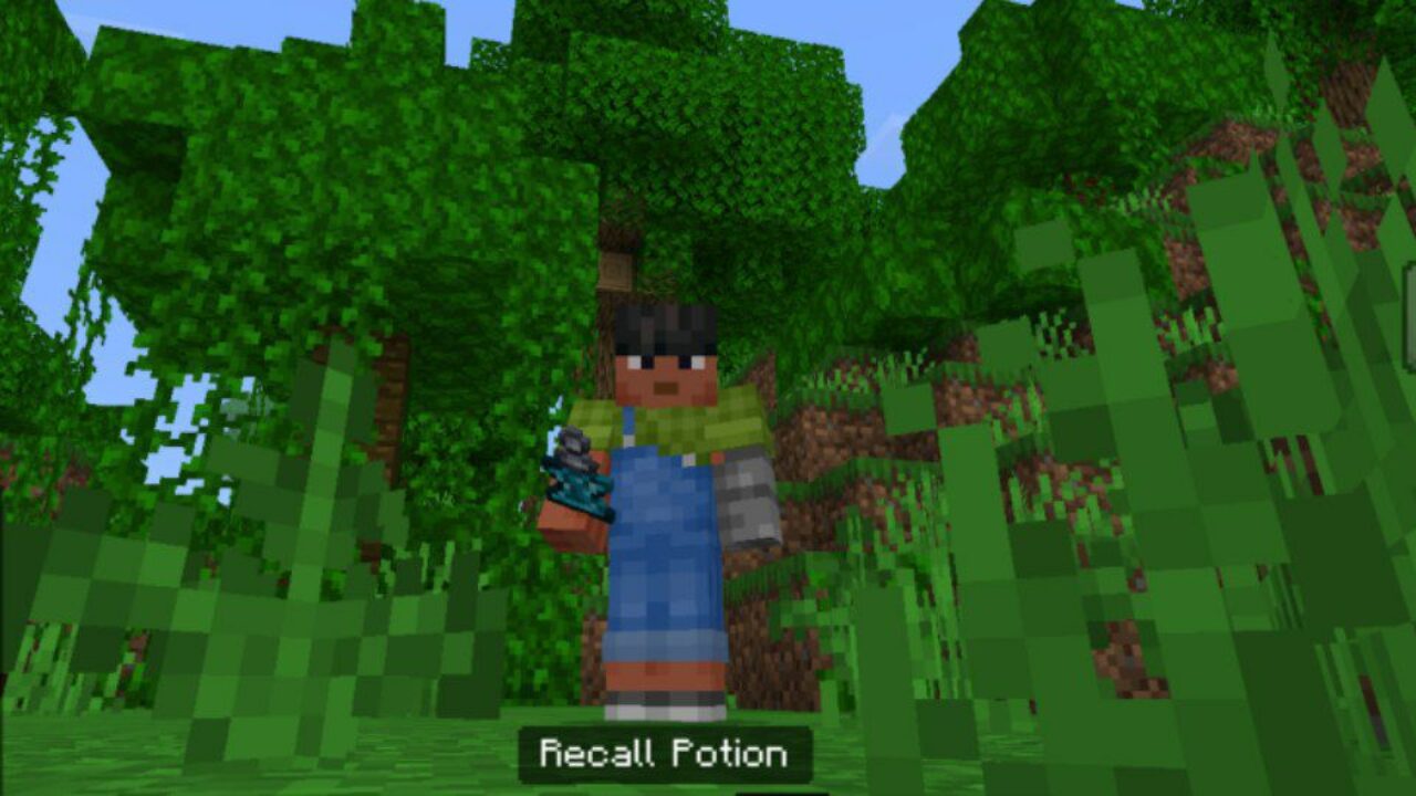 Potion from Magic Mirrors Mod for Minecraft PE