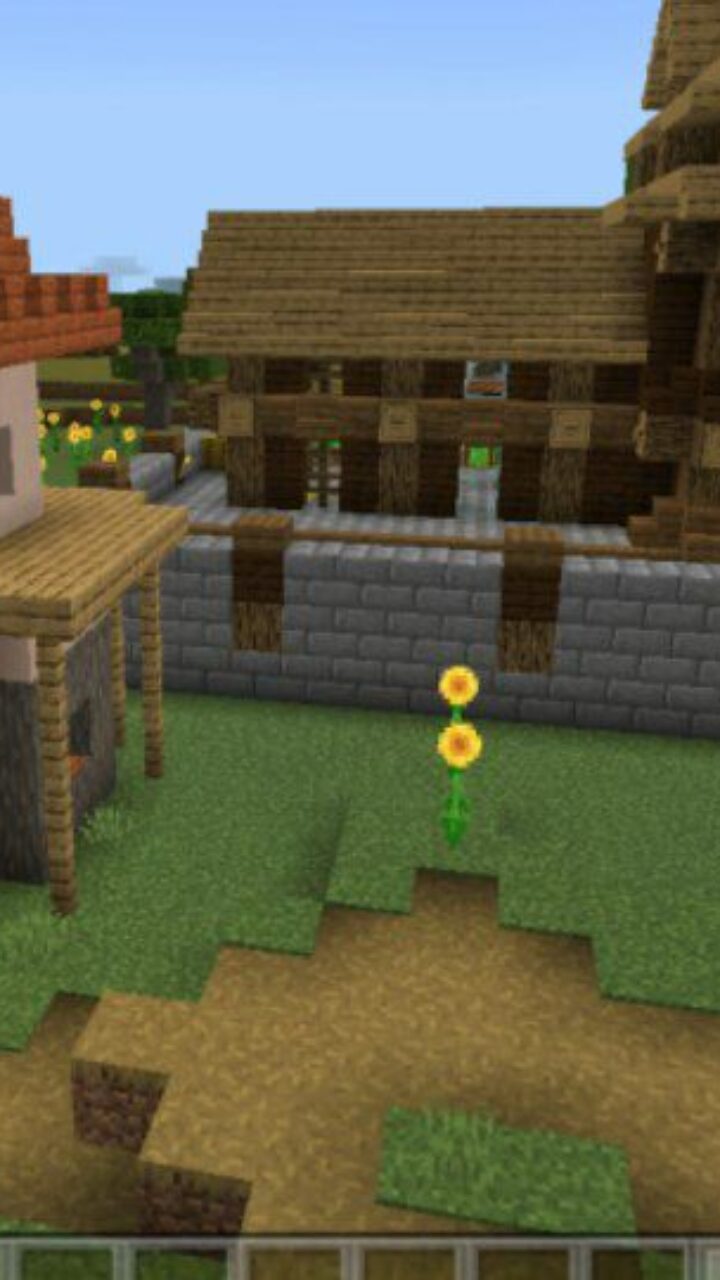 Territory from Starter House Map for Minecraft PE