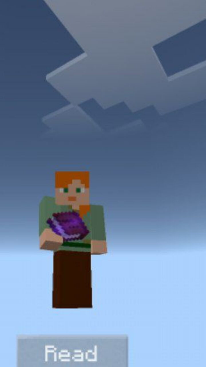 Book from Void World Map for Minecraft PE