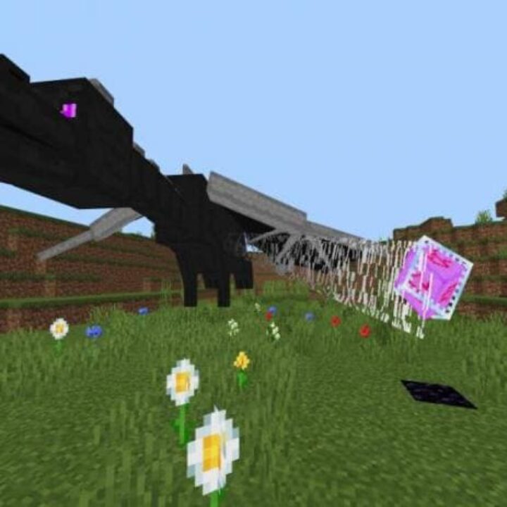 Ender Dragon Mod for Minecraft PE