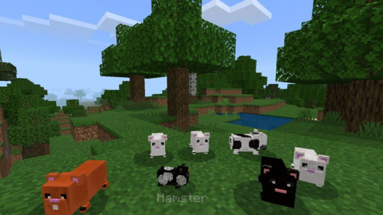 Hamster Mod for Minecraft PE