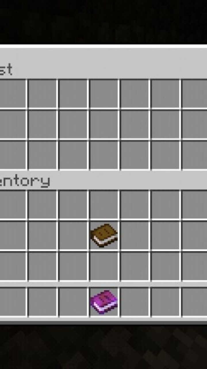 Item from Survival with Friends Map for Minecraft PE