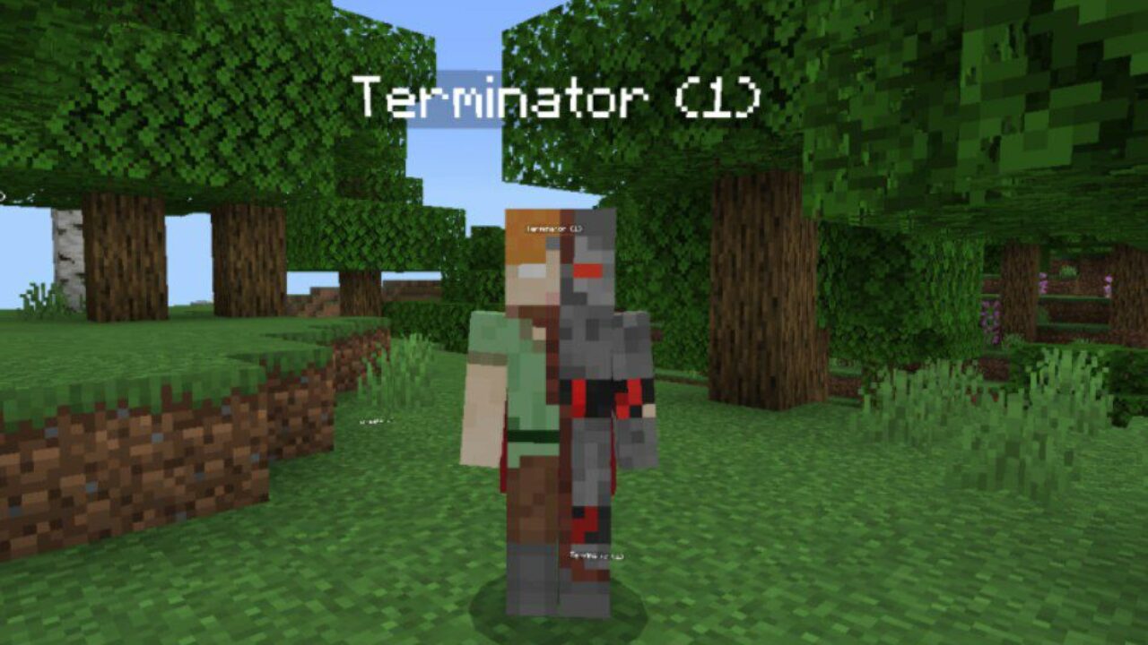 Monster from Terminator Mod for Minecraft PE