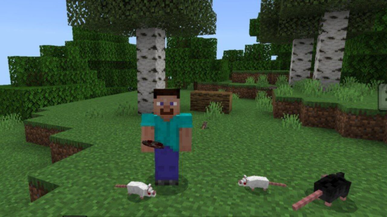 Mouse Mod for Minecraft PE