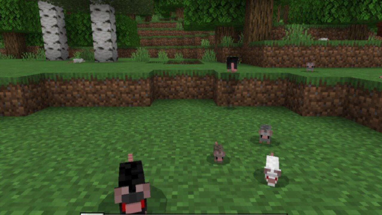 New Mobs from Mouse Mod for Minecraft PE