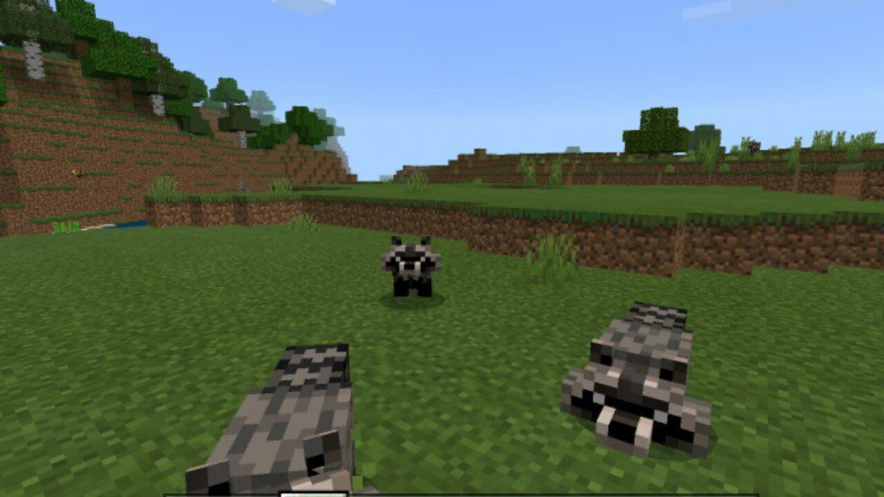 Racoon from Goose Mod for Minecraft PE