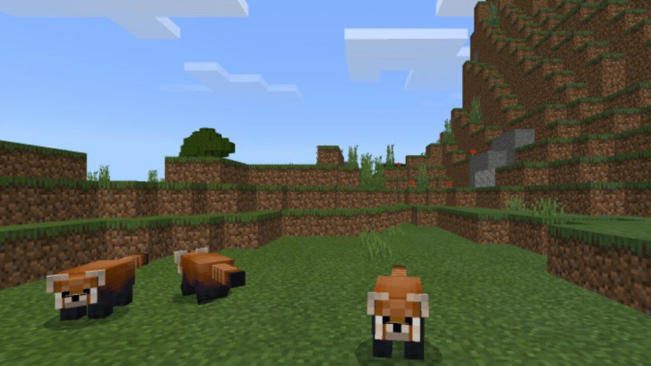 Red from Panda Mod for Minecraft PE