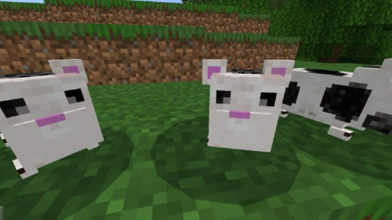 White and Black from Hamster Mod for Minecraft PE