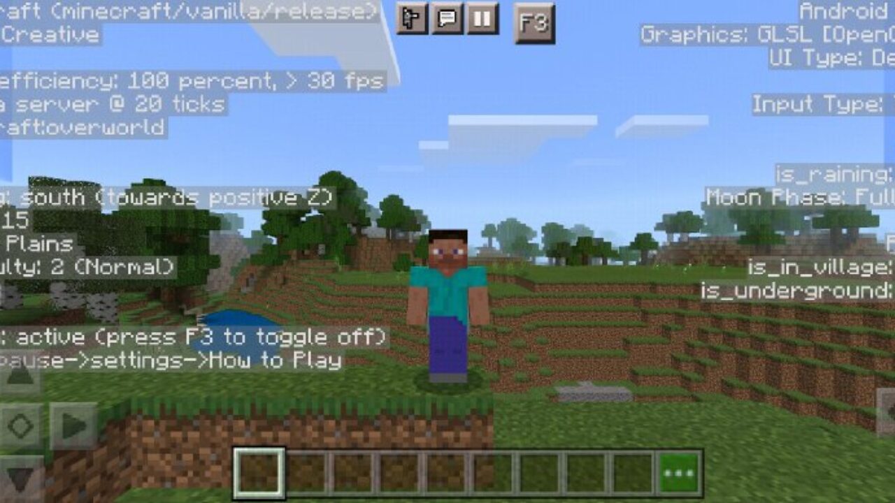 Debug Screen Mod for Minecraft PE