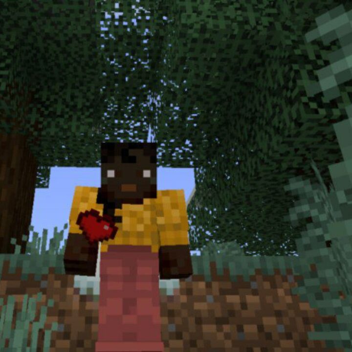 Lifesteal Mod for Minecraft PE