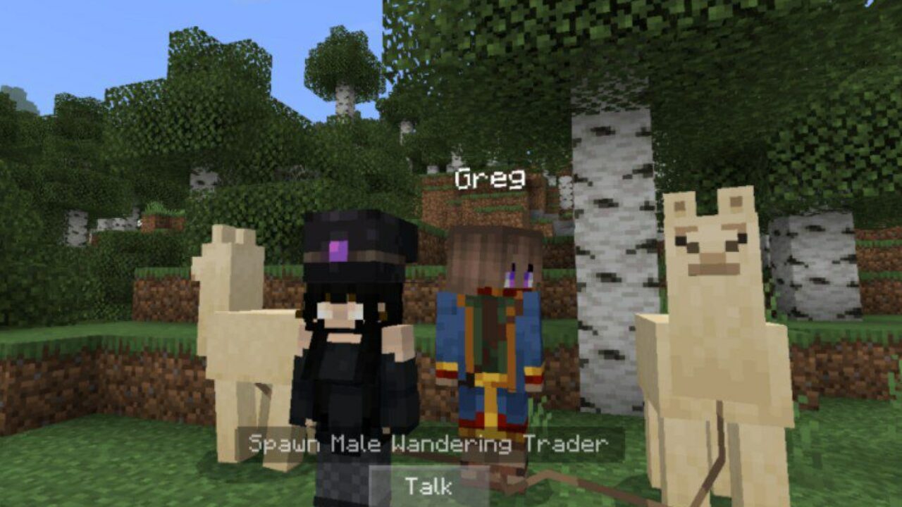 Male from Talking Villagers Texture Pack for Minecraft PE