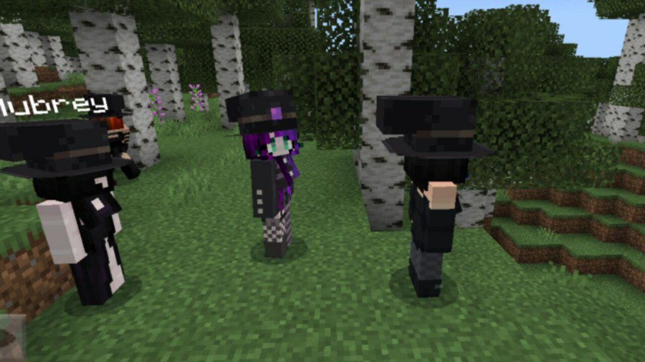 New Mobs from Talking Villagers Texture Pack for Minecraft PE