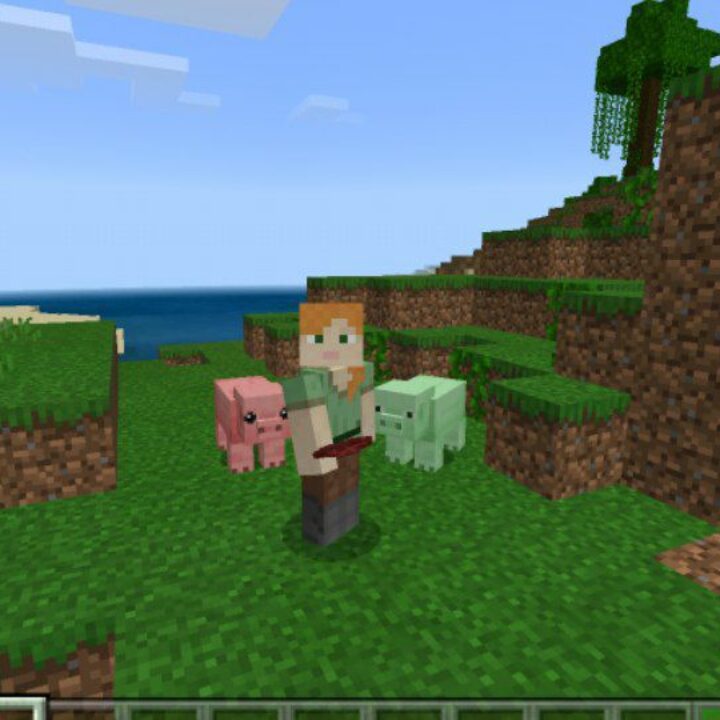 Pig Mod for Minecraft PE