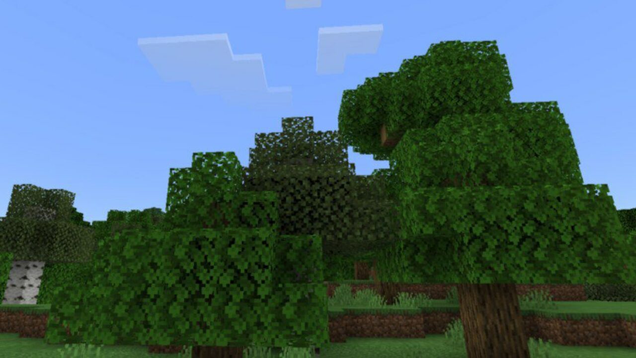 Trees from Waves Texture Pack for Minecraft PE