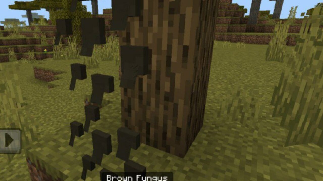 Brown Fungus from Botanical Decorations Mod for Minecraft PE