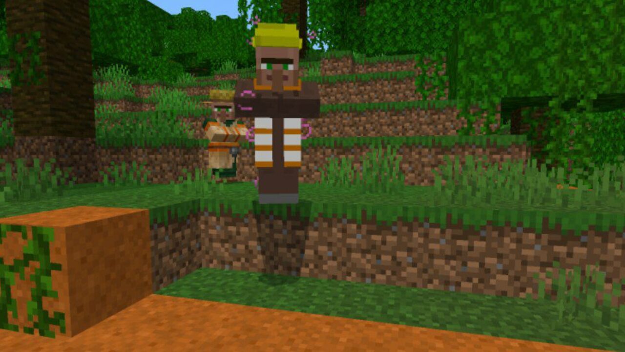 Builder from Villager Build House Mod for Minecraft PE