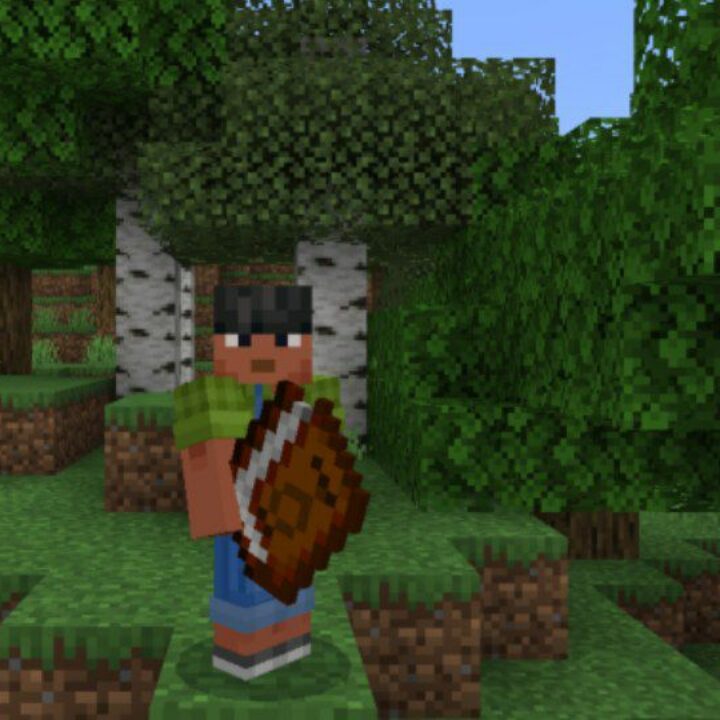 Craft Book Mod for Minecraft PE